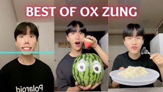 Best of Ox Zung Funny Tiktok Videos | @oxzung | Aug 2022  | Life Hacks Reaction