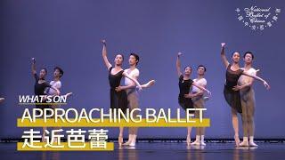 Approaching Ballet at the Tianqiao Theater: "A Mix of Popularization, Education, and Enjoyment!"