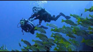 South Shore of Oahu, Hawaii Scuba Diving - 10 Dives - Wrecks and Reefs