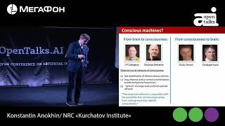 Константин Анохин - Эволюция мозга и сознания, OpenTalks.AI 2019