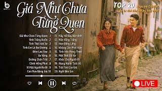 Nhạc Thư Giãn Nhẹ Nhàng Cực Chill Cho Quán Cafe - Thành Đạt Cover Triệu View - Nhạc Ballad 2024