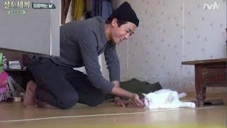 [Eng Sub] Park Hyung Sik playing with a cat - Three Meals a Day: Fishing Village 