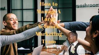 How to Manage A Large Network Marketing Team - Simple Strategy