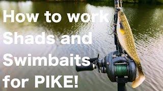 How to work Shads and Swimbaits when canal fishing for Pike! quick tips