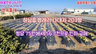 밀양 토지매매 하남읍 명례리 나대지 203평 (대지120평 전83평) 건축시 전용비용 1천만원 절약, 6미터 폭 넓은 도로 접 햣살 가득한 동남향