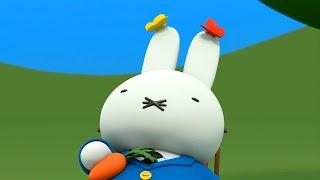 Butterflies love Daddy! | Miffy | Full Episodes