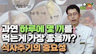 과연 하루에 몇 끼를 먹어야 몸에 가장 좋을까? 식사주기의 중요성, 식사빈도, 식습관