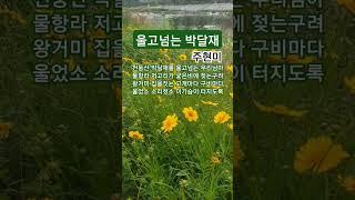 울고 넘는 박달재  #주현미#박재홍#트로트#1950박재홍인생곡