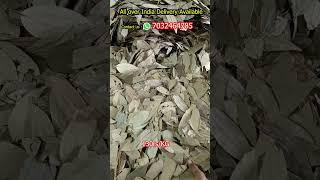 Bay Leaf/Biryani Leaf 130rs per Kg Tej Patta Fresh quality Bay leaf Wholesale market india #bayleaf