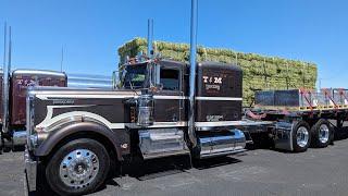 A Working Kenworth W900A In Arizona -- Desert Diesel Nationals Chandler, Arizona April 20th, 2024