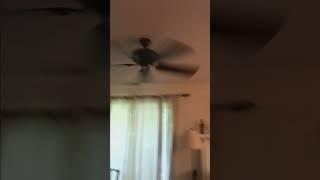 Dangerously wobbly ceiling fan! (NOT CLICKBAIT)