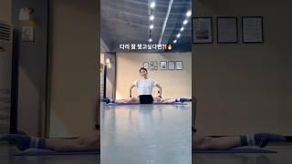 다리찢고 싶다면?! 발레리나의 옆으로 다리찢는법ㅣ사이드스플릿 #shorts #ballerina #stretch