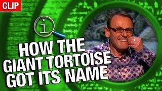 QI | How The Giant Tortoise Got Its Name