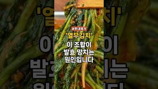 열무김치, 아 조합이 발효 망치는 원인입니다 #건강정보 #레시피 #열무김치 #건강한중년