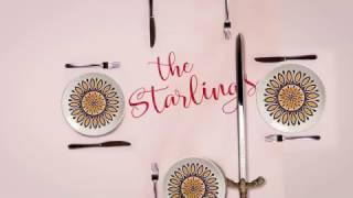 THE STARLINGS by Vivienne Kelly out now from Text Publishing