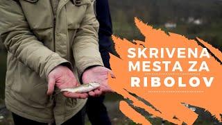 Skrivena MESTA za RIBOLOV | Medvedja | BALKANSKI RIBOLOV Ep.06