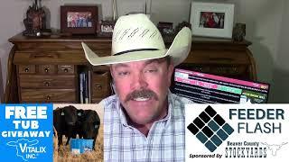 Feeder Flash 6/17:  Illegal Farm Workers