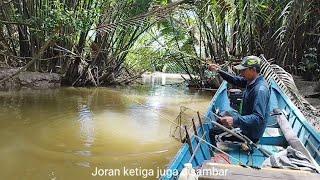 Fishing in a small river, up to three fishing rods were struck by poisonous fish