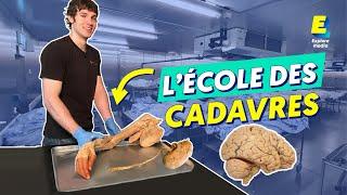 Ils font des vidéos avec des CADAVRES pour enseigner l'anatomie