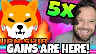 Analysts Expect SHIB To 5x! Base Dawgz Could See a 10x Increase!