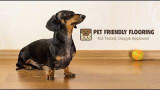 Floor for Dogs - Pet Friendly Flooring Best Floor For Dogs