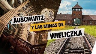 UNA VISITA A AUSCHWITZ BIRKENAU  KAZIMIERZ CRACOVIA  LAS MINAS DE SAL DE WIELICZKA