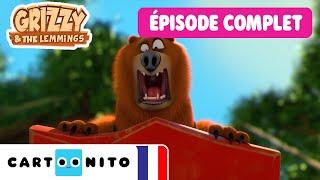  ÉPISODE COMPLET  | Grizzy et les Lemmings | Star du jour | @Cartoonito