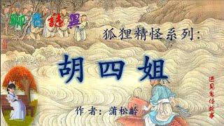 【聊齋誌異】胡四姐（白話文版）|志怪故事|民間傳說|助眠故事|古典名著故事