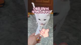 오직 원재료만을 그대로 #츄르 #츄르먹방 #고양이간식 #스틱 #간식 #골드로니 #haccp #최고 #기호성