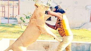 Animal Lover Wild Animal trainer |Asifsherowala| |Pakistani| Shero ka Badshah