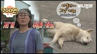 전생에 진 빚 갚으라고 뻔뻔한 백구가 찾아왔습니다 ㅣ Shameless Dog Goes Like "Raise Me, Hooman"