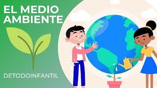 Que es el medio ambiente ?