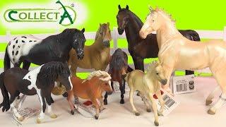 CollectA Horses Mare Foal Pony Stallion Horse Unboxing Review Video HoneyheartsC