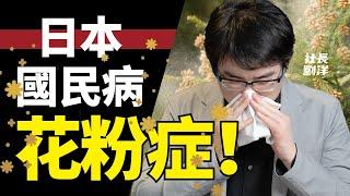 日本全國患病率高達58%的國民病「花粉症」｜社長劉洋第9期