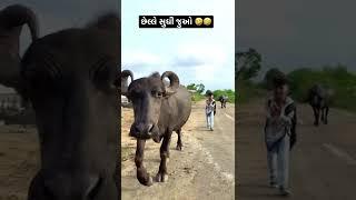 Subscribe Karo ️ #tappuparmar #shorts #explore #trending #explore #status #funny #gujarati #timli