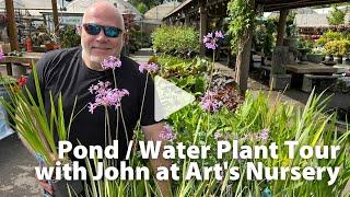 Pond Plant | Water Plant Tour | Art's Nursery