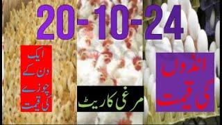 20-10-2024 broiler rate| Today egg rate |Today chicks price|Today poultry rate| today chicken rate