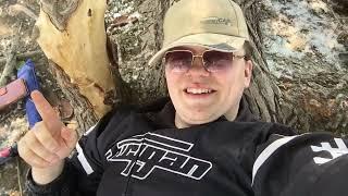 нажрался и валяюсь под кроной дерева, кайфую на природе