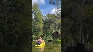 Kings Landing FLORIDA! #kingslanding #florida #nature #wildlife #kayaking