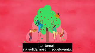 Socialno gospodarstvo