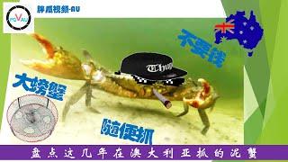 Mud Crab泥蟹