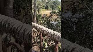 shortvudeo#viralshort#trendung#viral