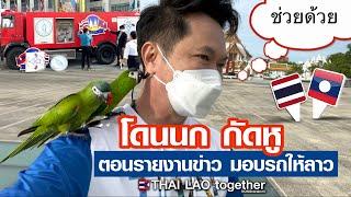 เกิดเหตุการณ์ไม่คาดฝัน !! นกบินมาเกาะ มากัดหู ตอนทำข่าวลาว ไทย :) LAOS THAI