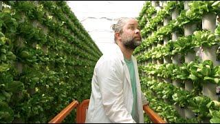 Is Hydroponic Produce Organic? | Spill The Greens - Episode 1