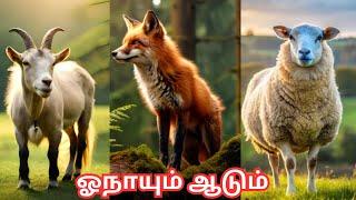 ஓநாயும் ஆடும்/ Wolf and goat story in tamil for kids and children/Moral story/tamil stories