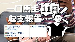 【一口馬主】収支報告11月。請求額が多くなる月…