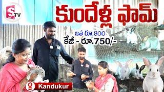 కుందేళ్ల ఫామ్.. తక్కువ ధరకే మాంసం! | Rabbit Farm in Kovur Village | @sumantvkandukur