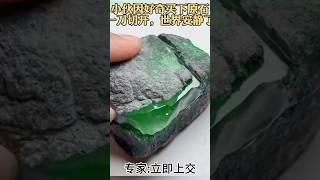 我勒个去，这咋又出来个建议上交的砖家‍️我就想知道凭啥 #jade #翡翠 #緬甸翡翠 #crystals #翡翠直播 #流量