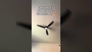 Ceiling Fan Hack Every Homeowner Should Know 
