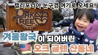  엘에이 근교 눈구경 하기 좋은 곳 오크 글렌 산동네가 겨울왕국이 되었어요! ️️ 눈구경 같이 해요! | Winter Snow Day in Oak Glen, CA